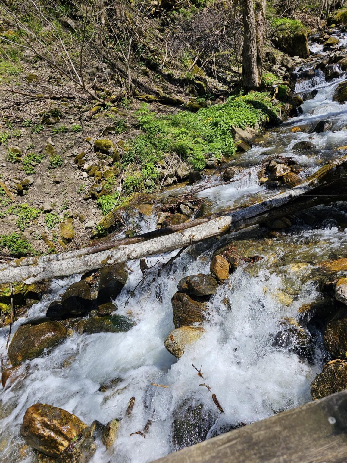 Rila in One Day: The Monastery, the Bohemia Waterfalls and the Stob Pyramids