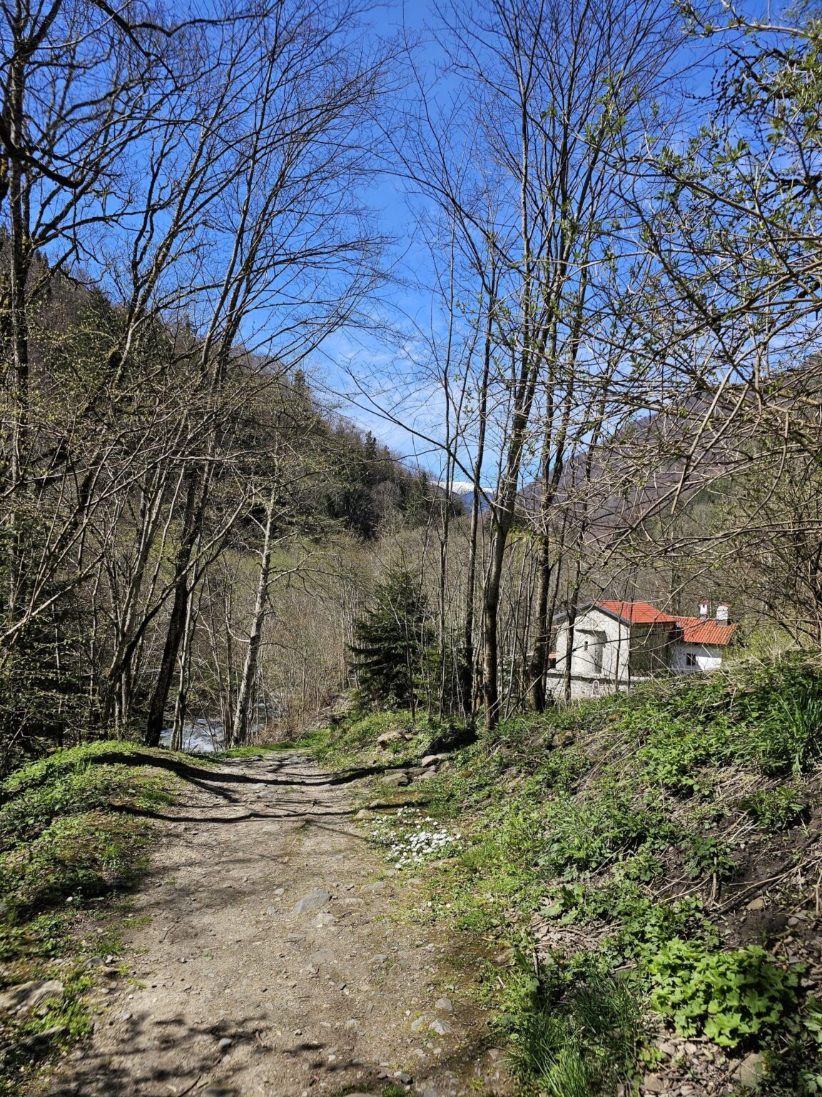 Rila in One Day: The Monastery, the Bohemia Waterfalls and the Stob Pyramids