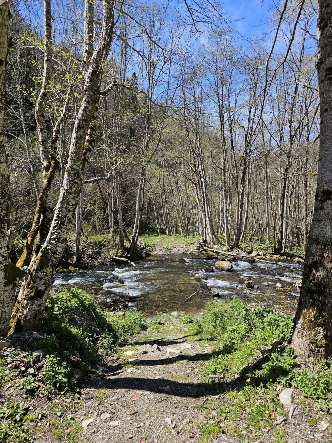Rila in One Day: The Monastery, the Bohemia Waterfalls and the Stob Pyramids