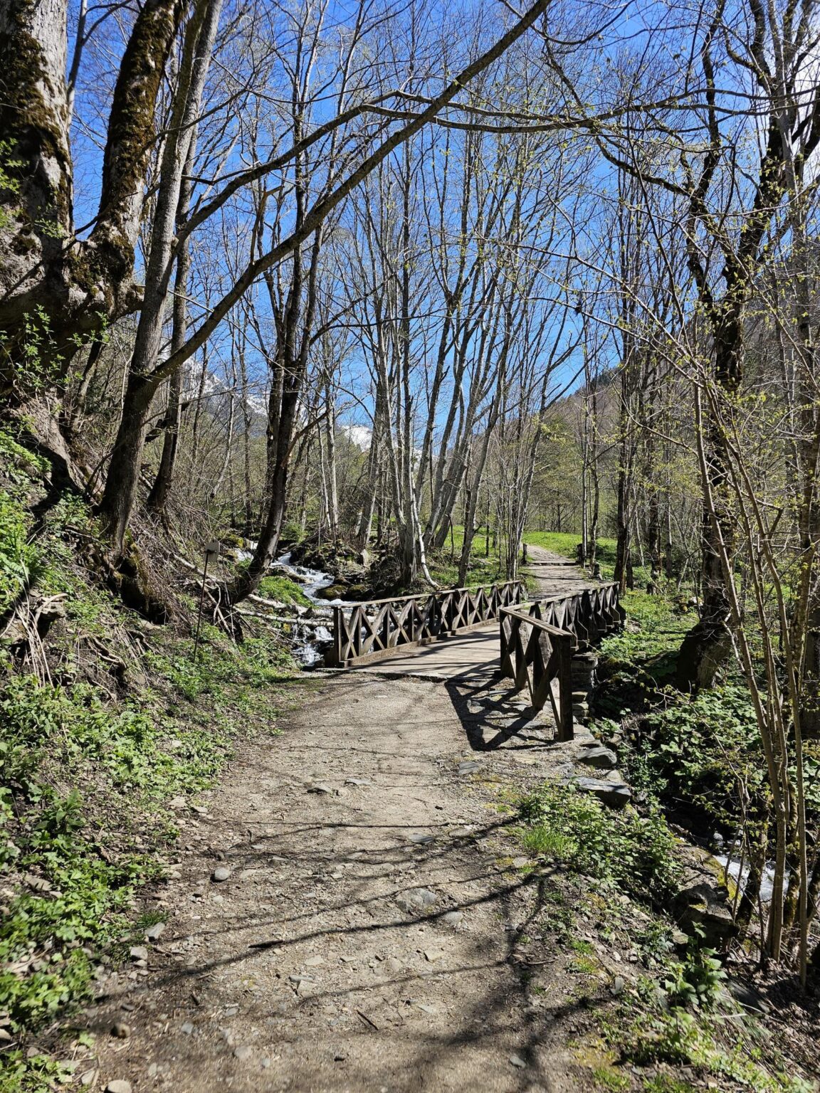 Rila in One Day: The Monastery, the Bohemia Waterfalls and the Stob Pyramids