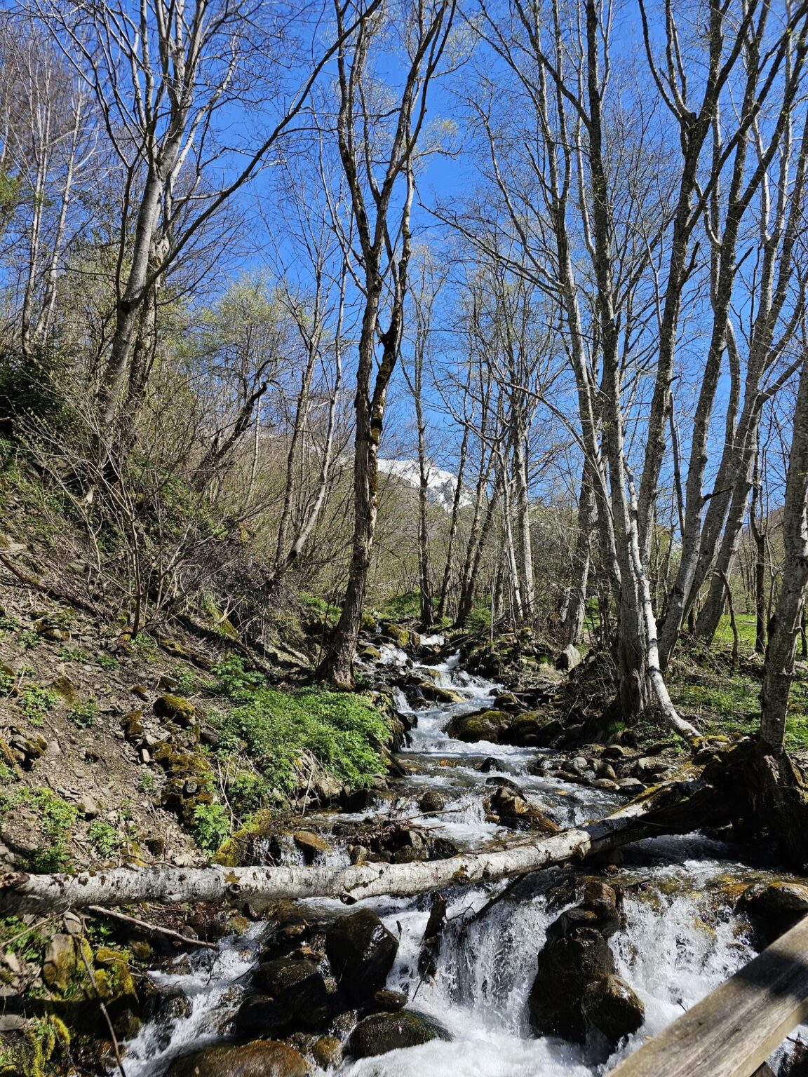 Rila in One Day: The Monastery, the Bohemia Waterfalls and the Stob Pyramids