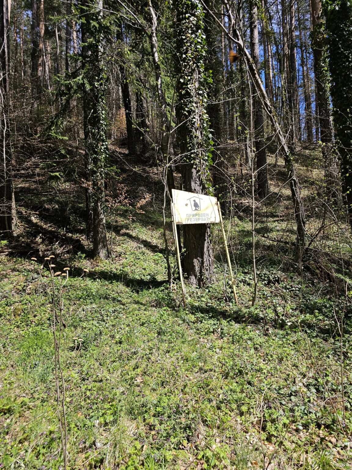 Rila in One Day: The Monastery, the Bohemia Waterfalls and the Stob Pyramids
