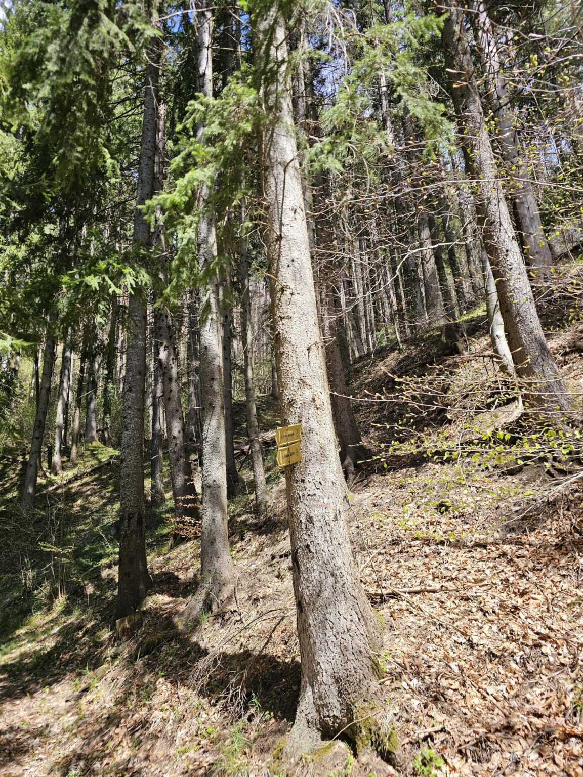Rila in One Day: The Monastery, the Bohemia Waterfalls and the Stob Pyramids