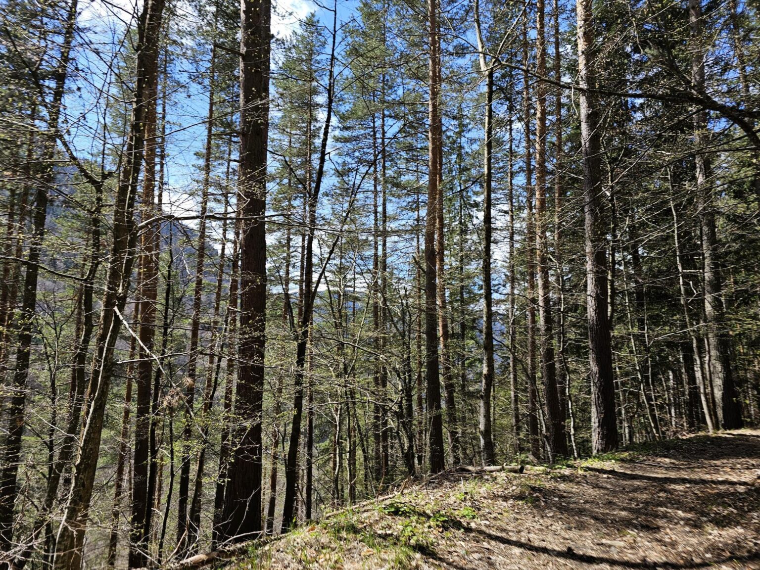 Rila in One Day: The Monastery, the Bohemia Waterfalls and the Stob Pyramids