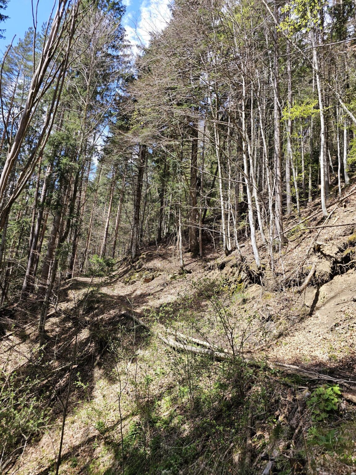 Rila in One Day: The Monastery, the Bohemia Waterfalls and the Stob Pyramids