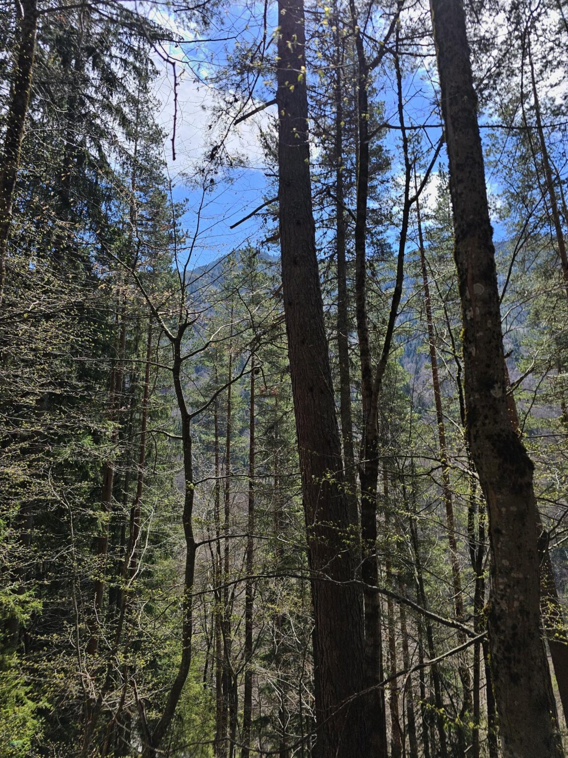 Rila in One Day: The Monastery, the Bohemia Waterfalls and the Stob Pyramids