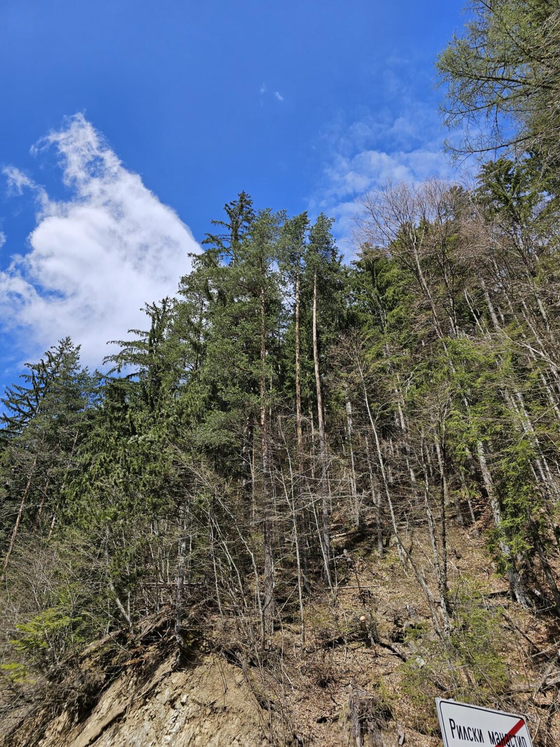 Rila in One Day: The Monastery, the Bohemia Waterfalls and the Stob Pyramids
