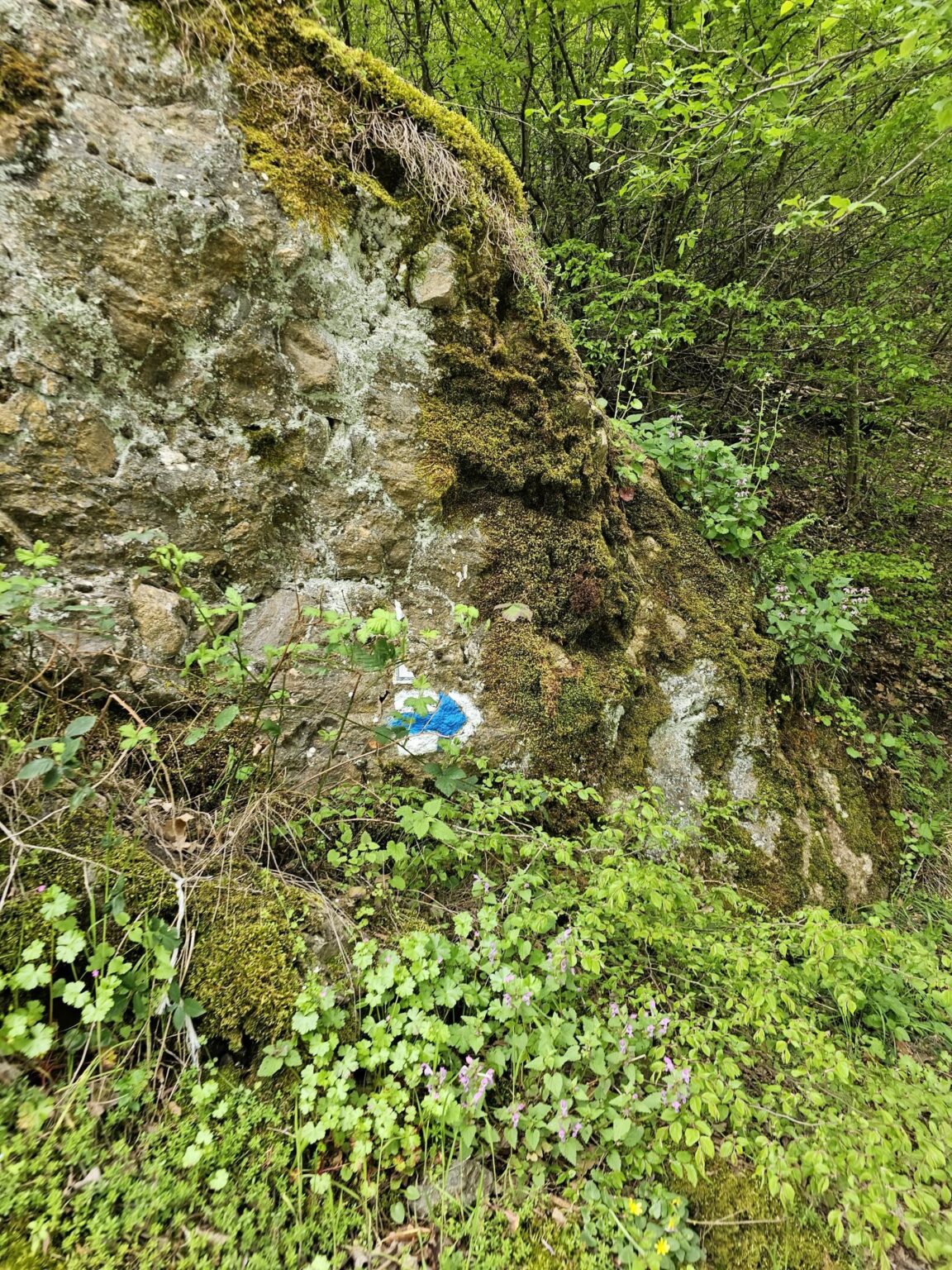 Rila in One Day: The Monastery, the Bohemia Waterfalls and the Stob Pyramids