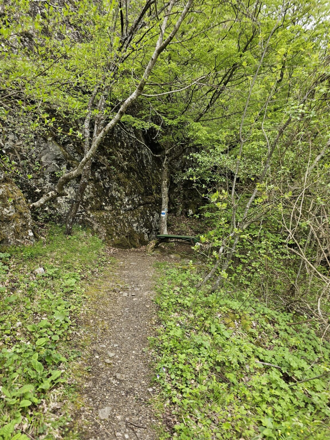 Rila in One Day: The Monastery, the Bohemia Waterfalls and the Stob Pyramids