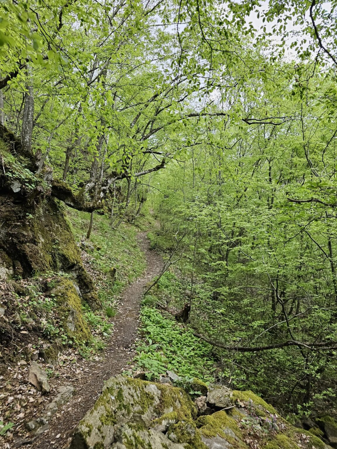 Rila in One Day: The Monastery, the Bohemia Waterfalls and the Stob Pyramids