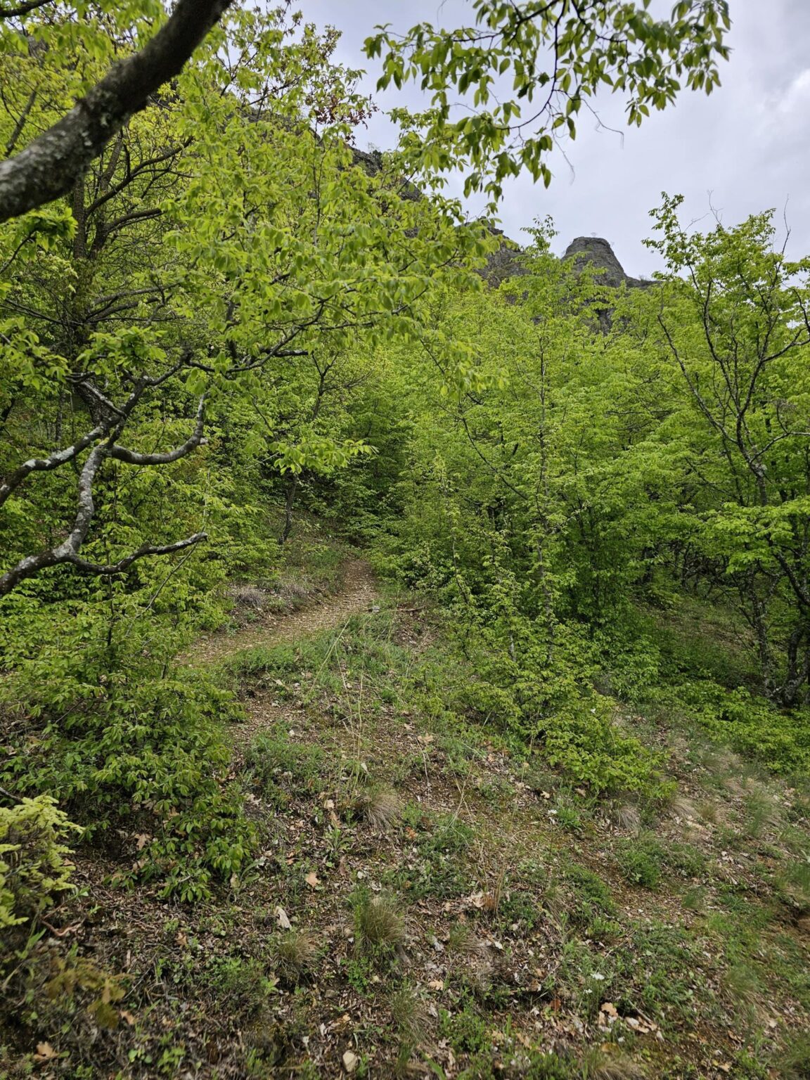 Rila in One Day: The Monastery, the Bohemia Waterfalls and the Stob Pyramids
