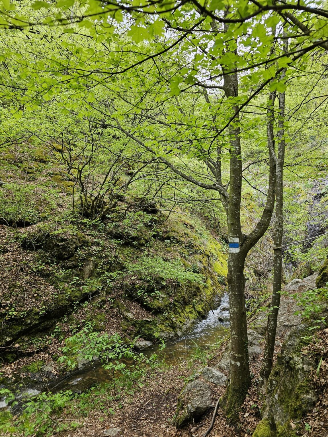Rila in One Day: The Monastery, the Bohemia Waterfalls and the Stob Pyramids