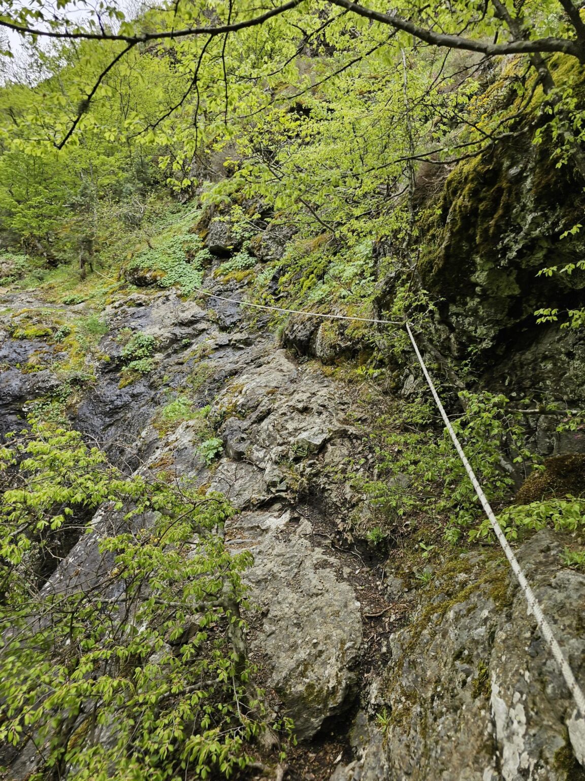 Rila in One Day: The Monastery, the Bohemia Waterfalls and the Stob Pyramids