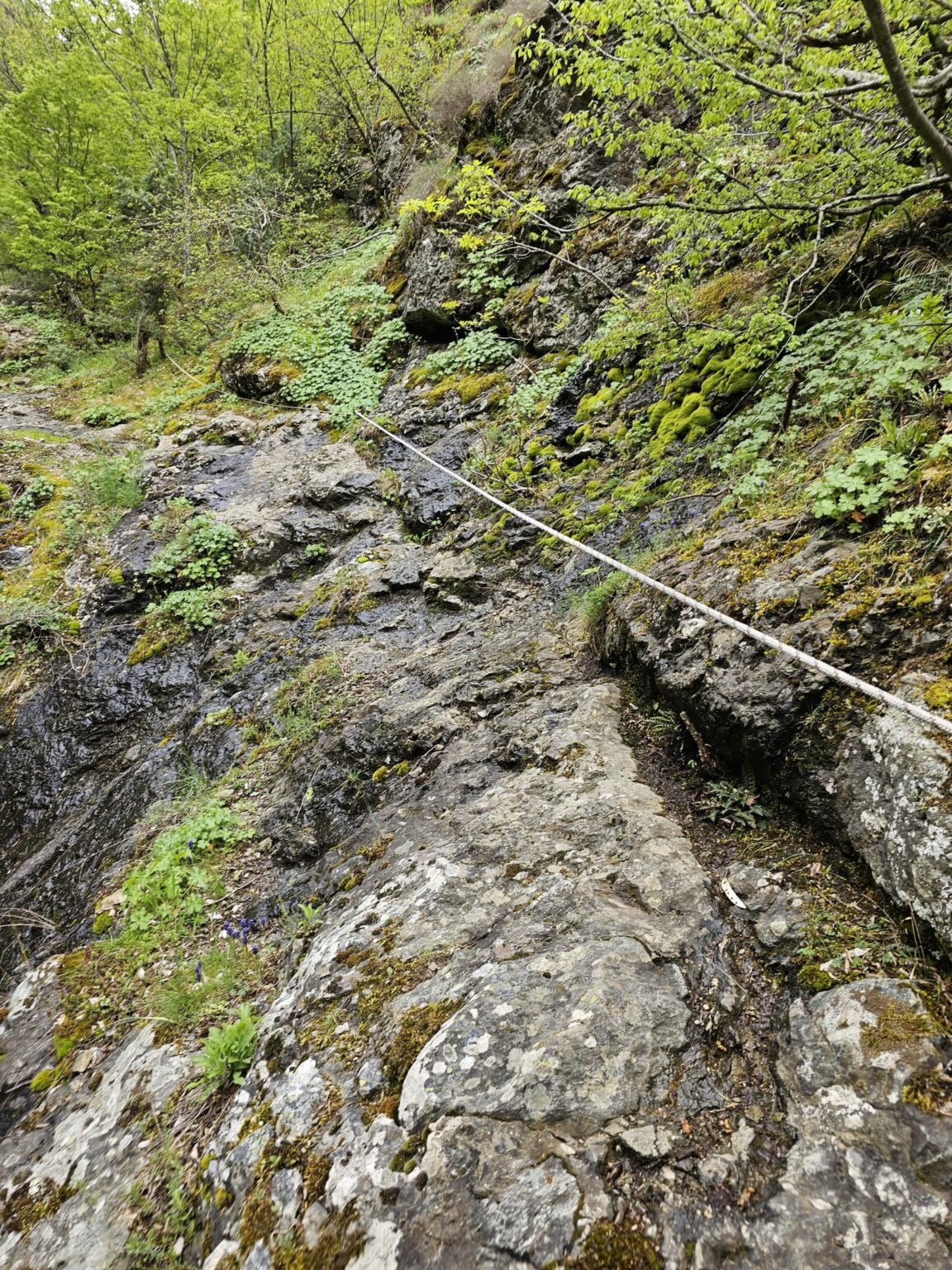 Rila in One Day: The Monastery, the Bohemia Waterfalls and the Stob Pyramids