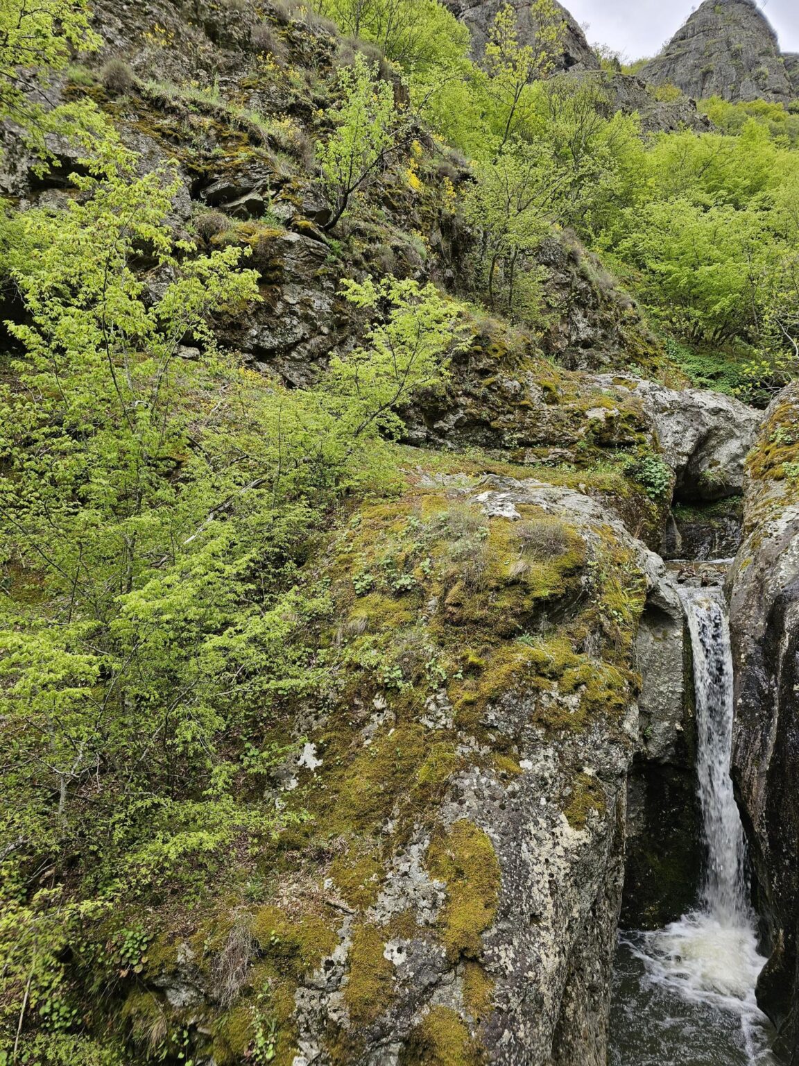 Rila in One Day: The Monastery, the Bohemia Waterfalls and the Stob Pyramids