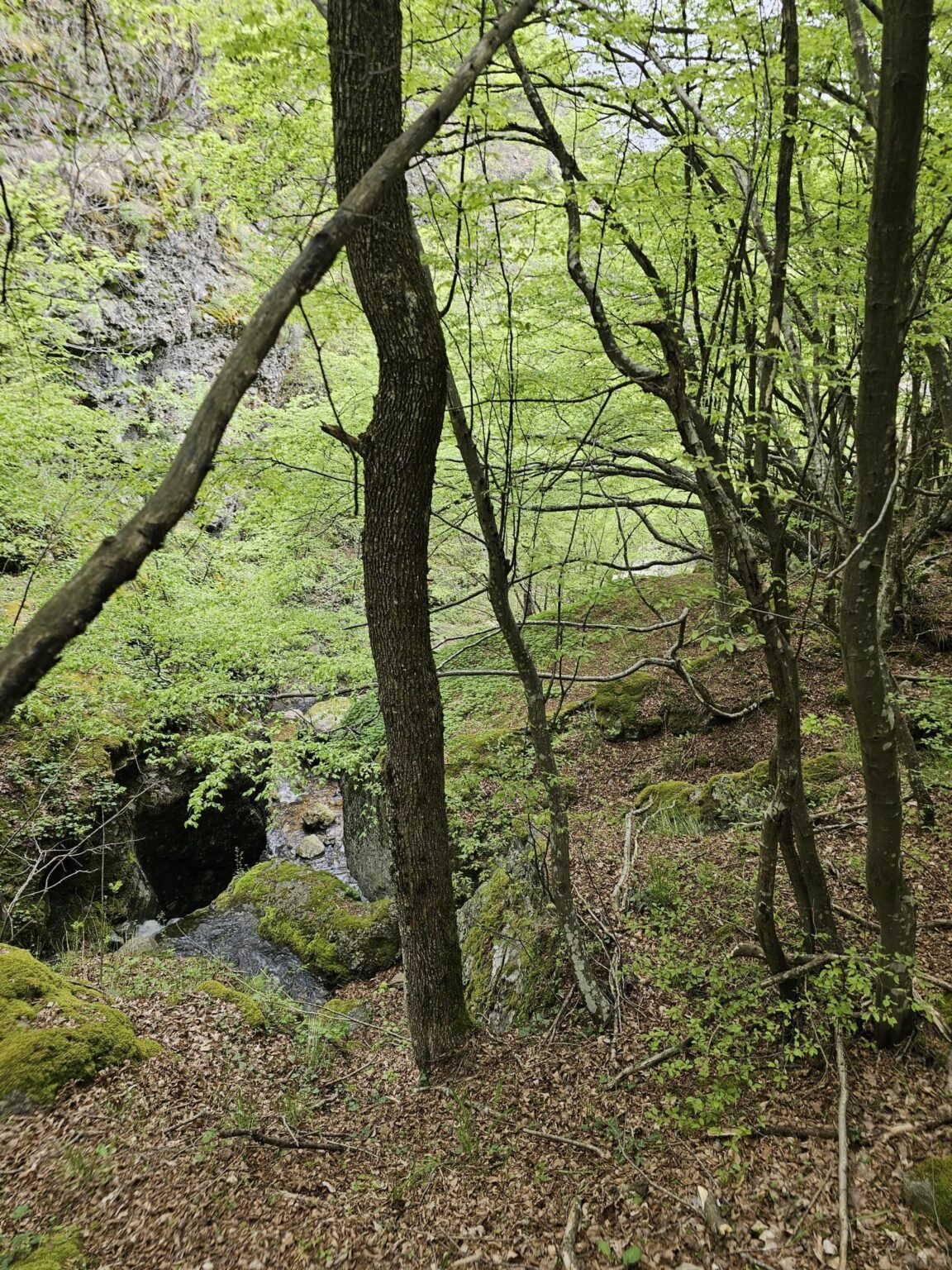 Rila in One Day: The Monastery, the Bohemia Waterfalls and the Stob Pyramids