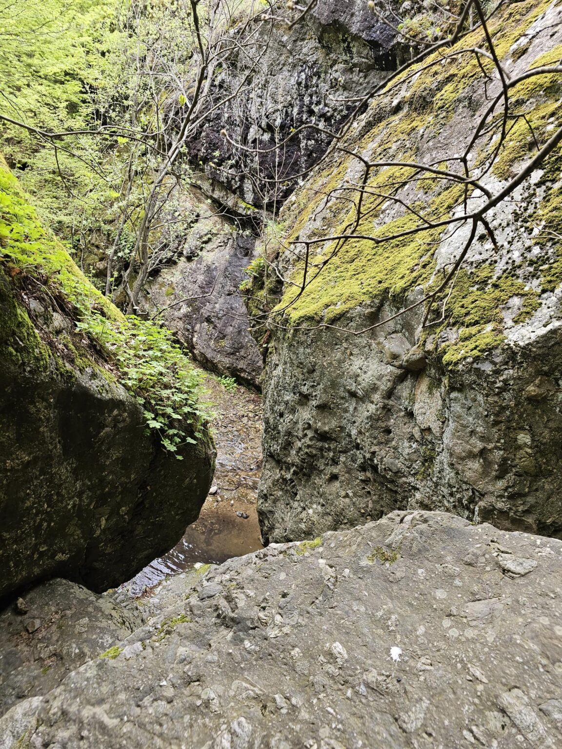 Rila in One Day: The Monastery, the Bohemia Waterfalls and the Stob Pyramids