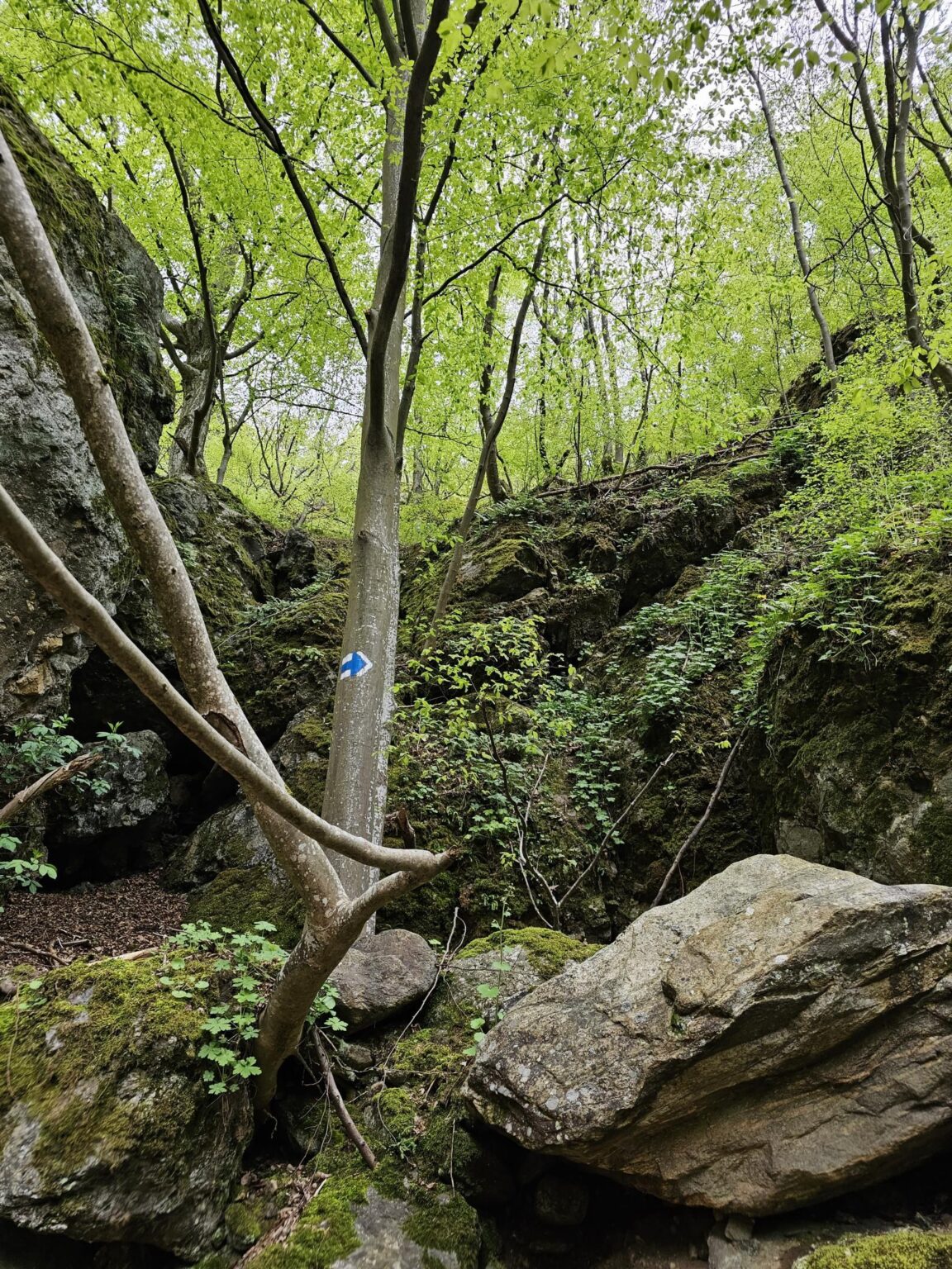 Rila in One Day: The Monastery, the Bohemia Waterfalls and the Stob Pyramids