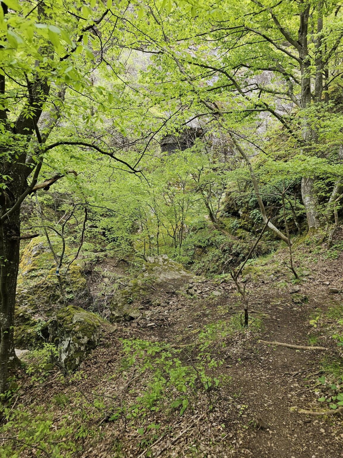 Rila in One Day: The Monastery, the Bohemia Waterfalls and the Stob Pyramids