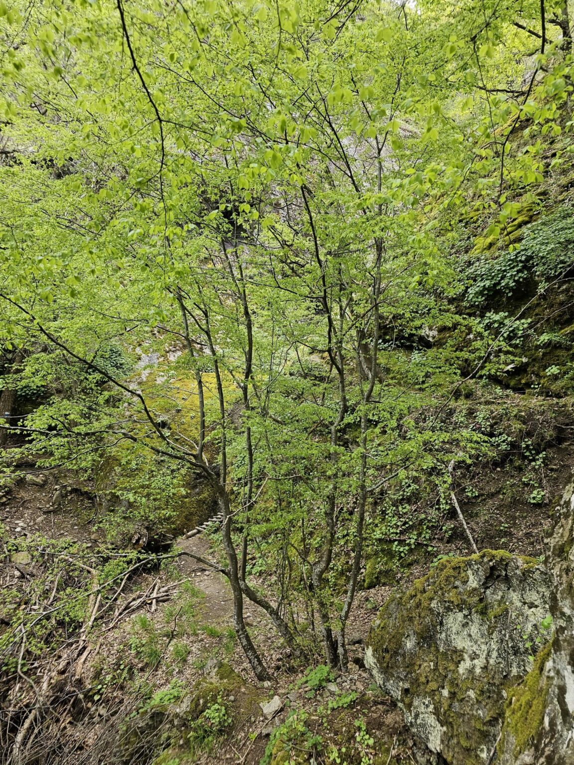 Rila in One Day: The Monastery, the Bohemia Waterfalls and the Stob Pyramids