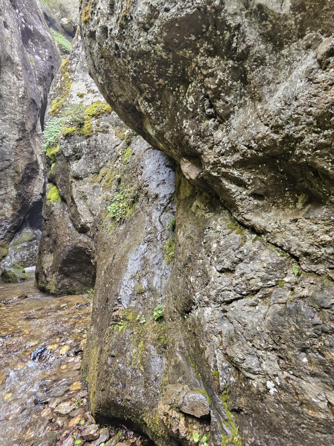 Rila in One Day: The Monastery, the Bohemia Waterfalls and the Stob Pyramids