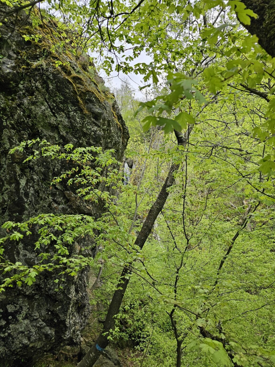 Rila in One Day: The Monastery, the Bohemia Waterfalls and the Stob Pyramids