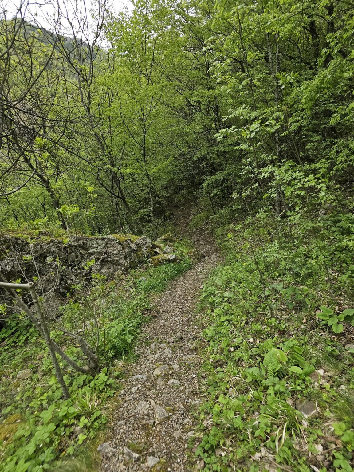 Rila in One Day: The Monastery, the Bohemia Waterfalls and the Stob Pyramids