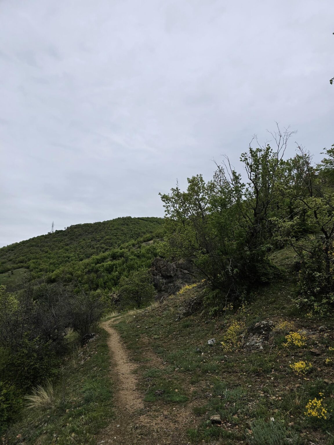 Rila in One Day: The Monastery, the Bohemia Waterfalls and the Stob Pyramids