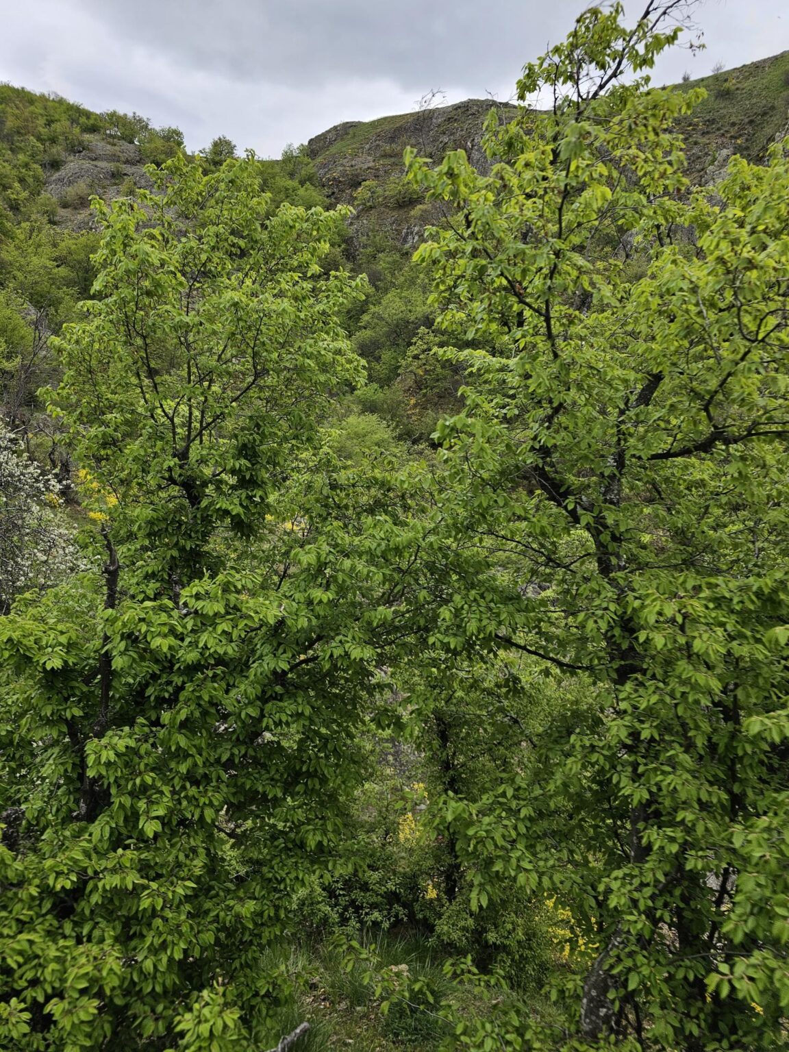 Rila in One Day: The Monastery, the Bohemia Waterfalls and the Stob Pyramids