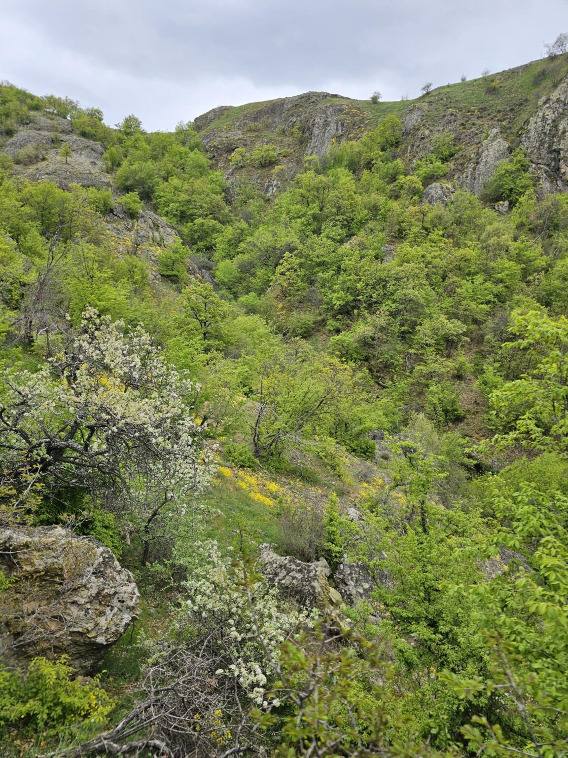 Rila in One Day: The Monastery, the Bohemia Waterfalls and the Stob Pyramids