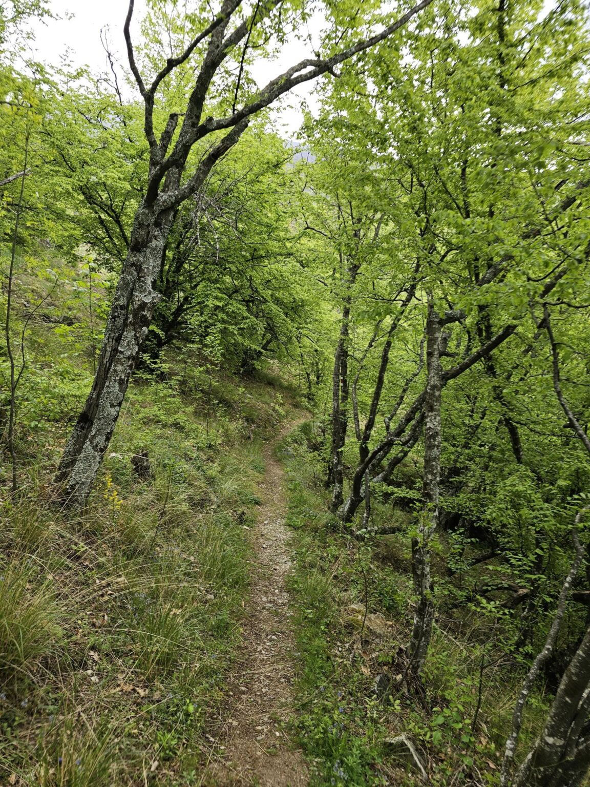 Rila in One Day: The Monastery, the Bohemia Waterfalls and the Stob Pyramids