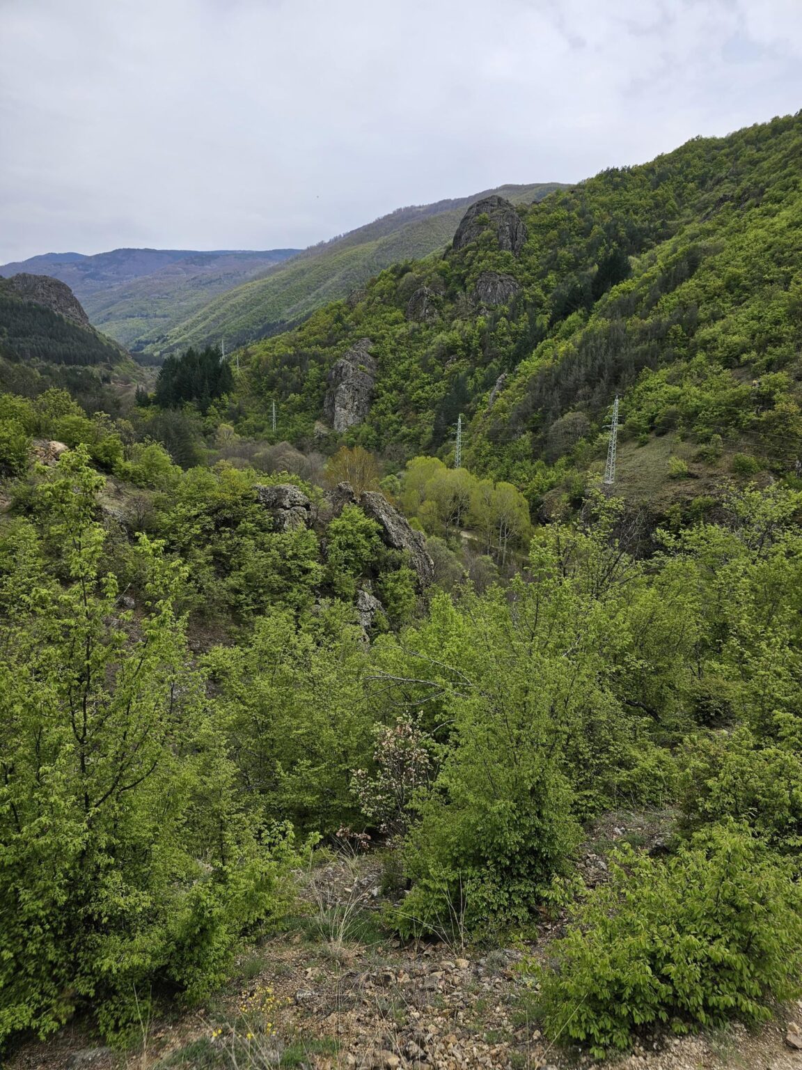 Rila in One Day: The Monastery, the Bohemia Waterfalls and the Stob Pyramids