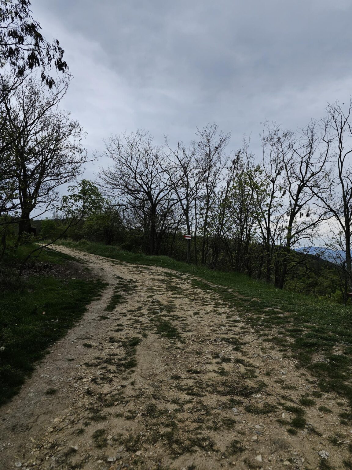 Rila in One Day: The Monastery, the Bohemia Waterfalls and the Stob Pyramids