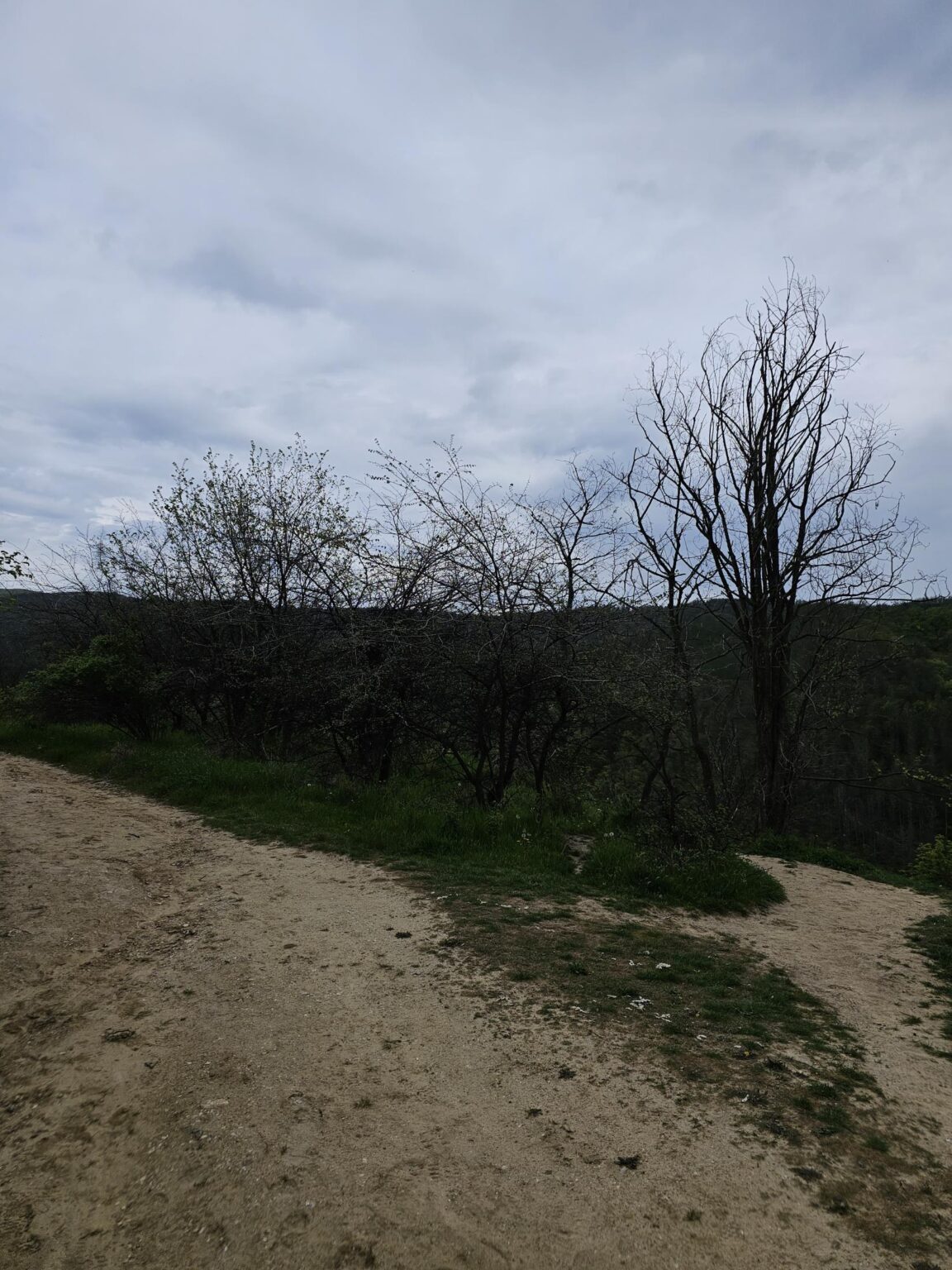 Rila in One Day: The Monastery, the Bohemia Waterfalls and the Stob Pyramids