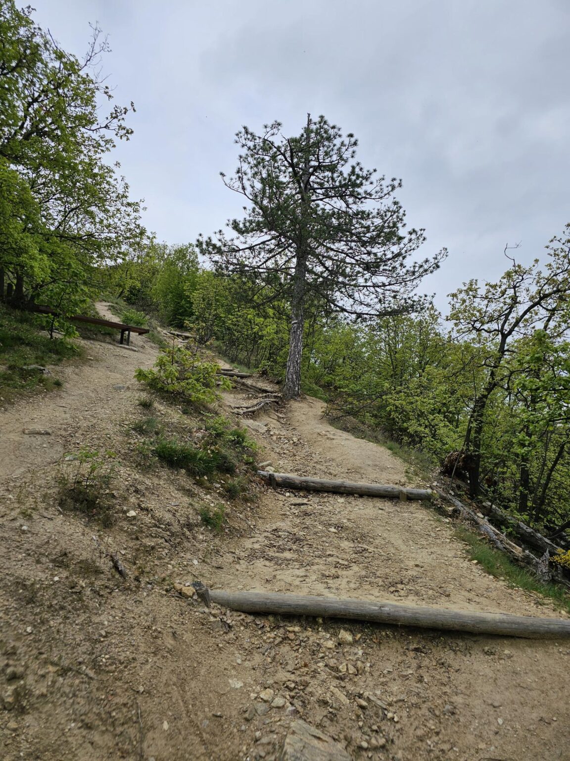 Rila in One Day: The Monastery, the Bohemia Waterfalls and the Stob Pyramids