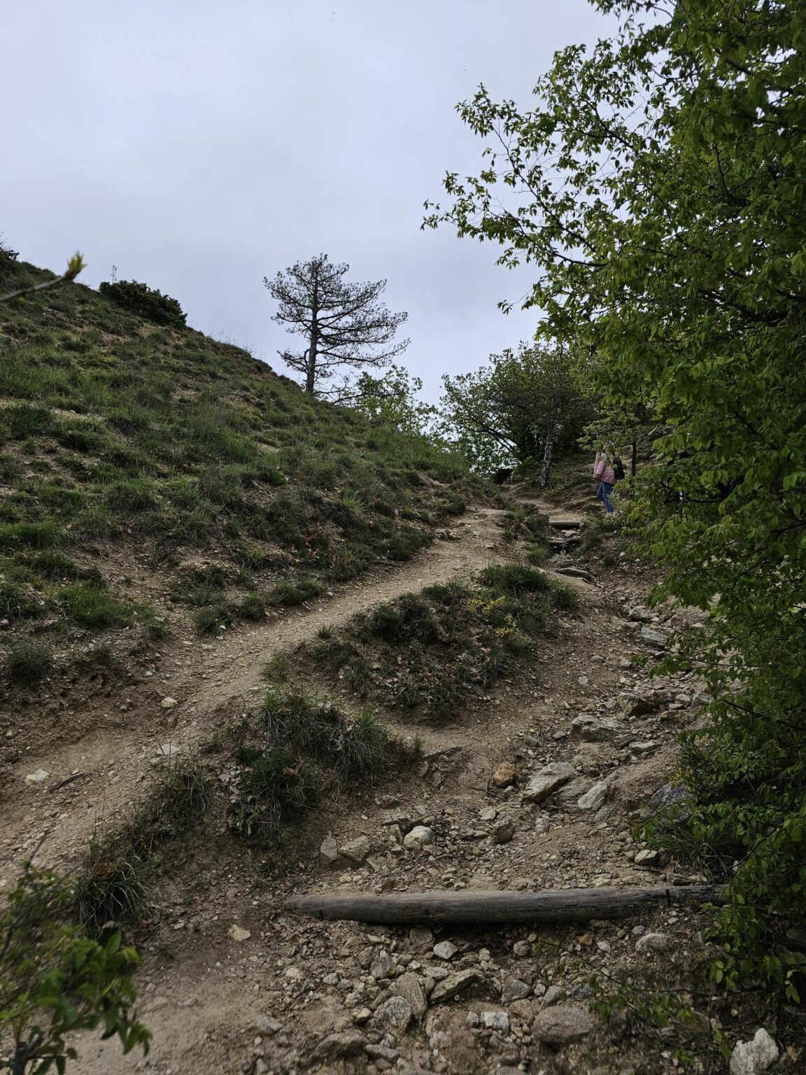 Rila in One Day: The Monastery, the Bohemia Waterfalls and the Stob Pyramids