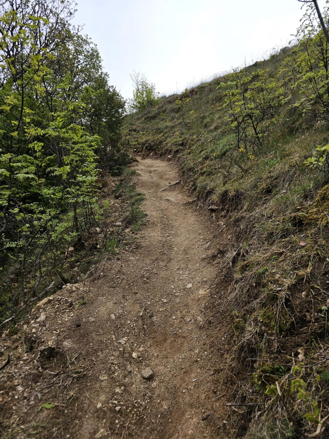 Rila in One Day: The Monastery, the Bohemia Waterfalls and the Stob Pyramids