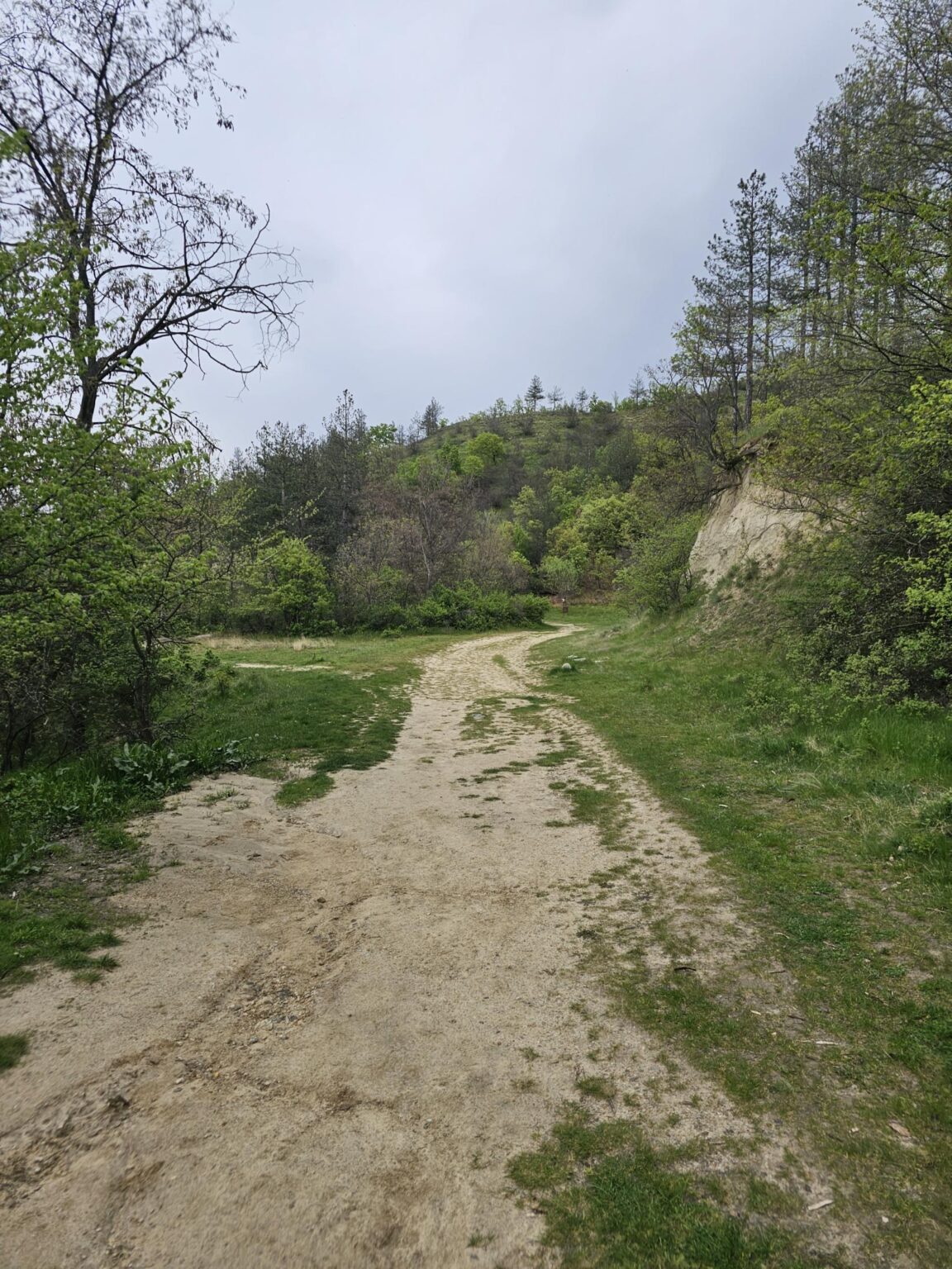 Rila in One Day: The Monastery, the Bohemia Waterfalls and the Stob Pyramids