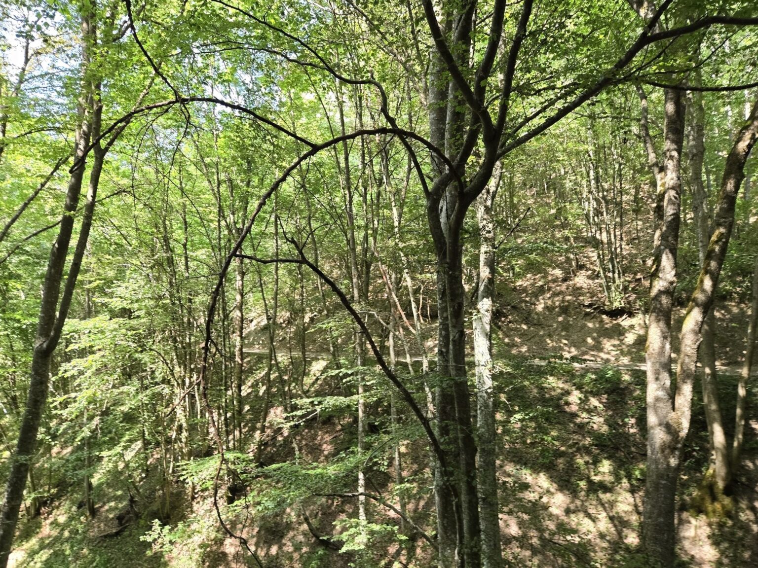 Through the Tunnels of Trun – the Erma River Gorge Eco Trail