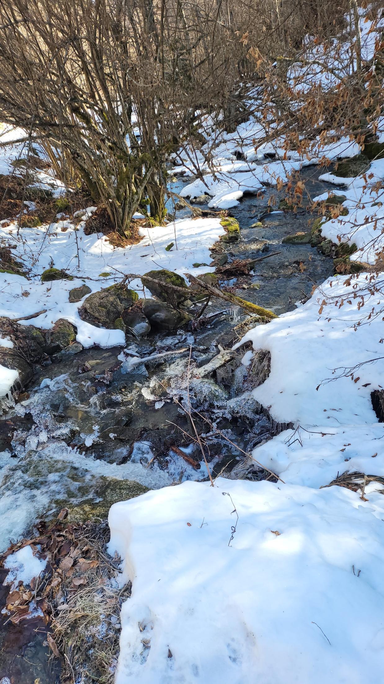 Fotinovo Waterfalls, Bulgaria: A Two-Day Rhodope Trip to a 30-Metre Cascade