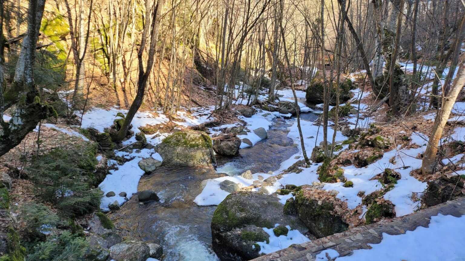 Fotinovo Waterfalls, Bulgaria: A Two-Day Rhodope Trip to a 30-Metre Cascade