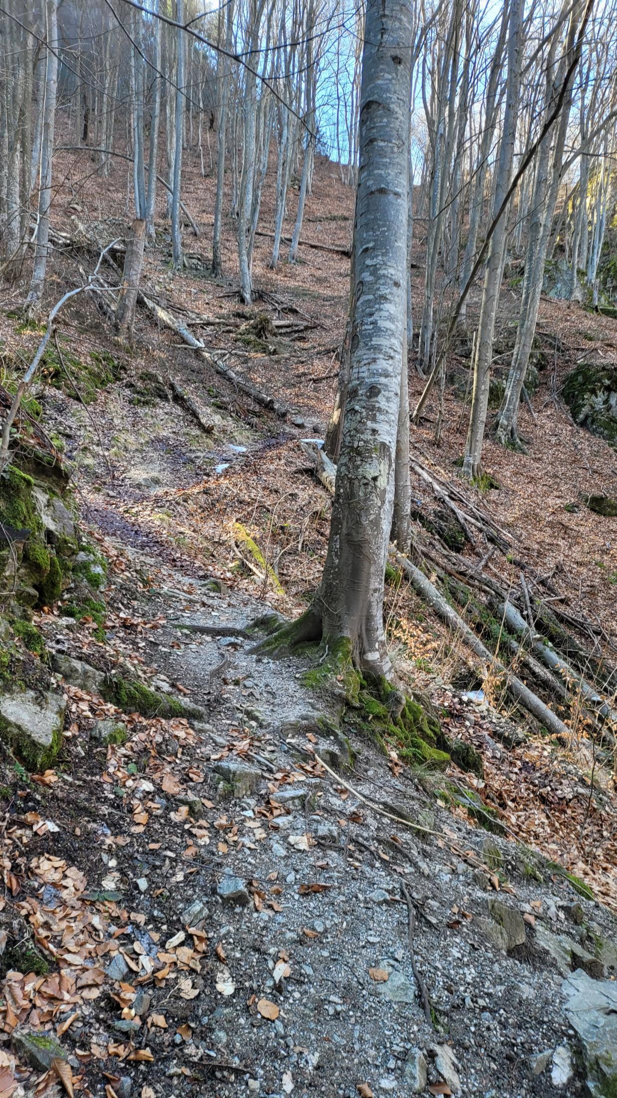 Fotinovo Waterfalls, Bulgaria: A Two-Day Rhodope Trip to a 30-Metre Cascade