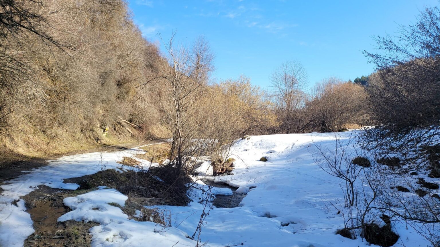 Fotinovo Waterfalls, Bulgaria: A Two-Day Rhodope Trip to a 30-Metre Cascade
