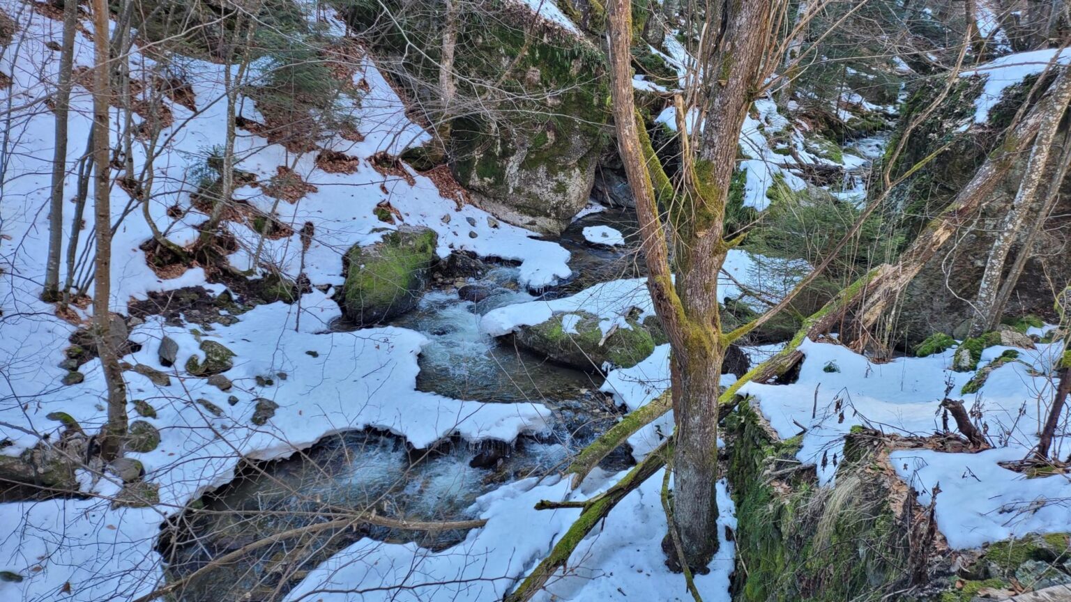 Fotinovo Waterfalls, Bulgaria: A Two-Day Rhodope Trip to a 30-Metre Cascade