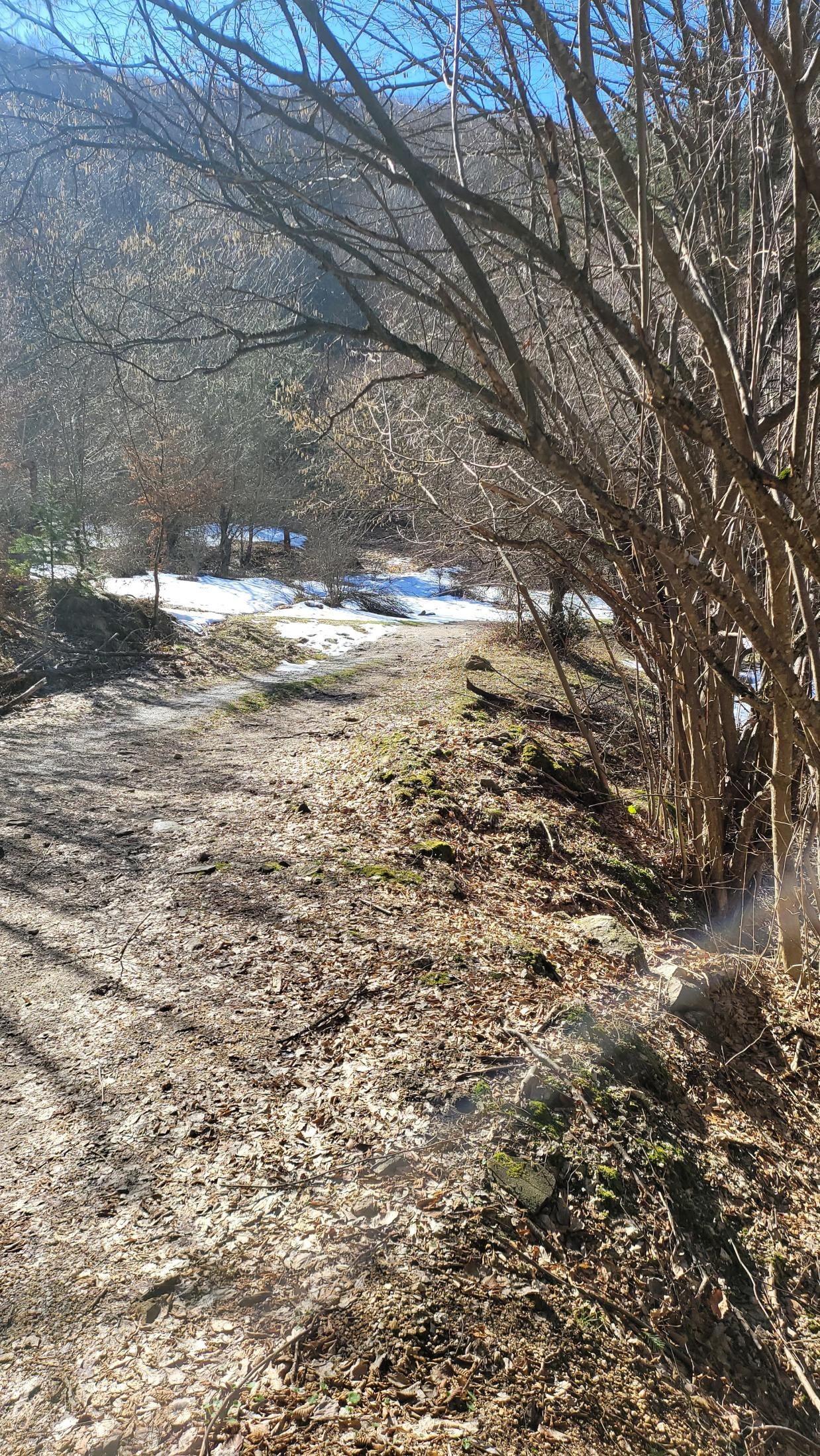Fotinovo Waterfalls, Bulgaria: A Two-Day Rhodope Trip to a 30-Metre Cascade
