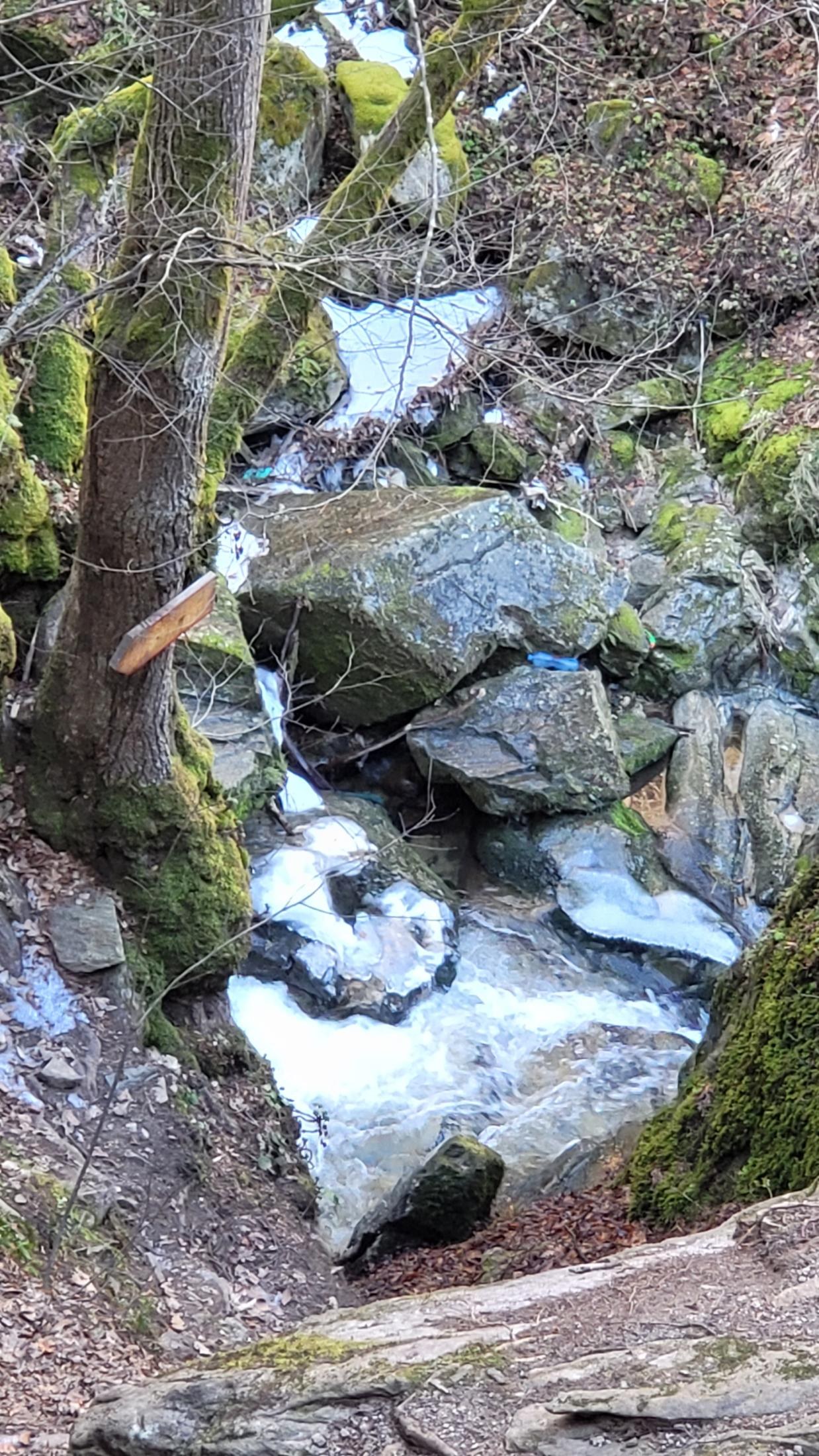 Fotinovo Waterfalls, Bulgaria: A Two-Day Rhodope Trip to a 30-Metre Cascade