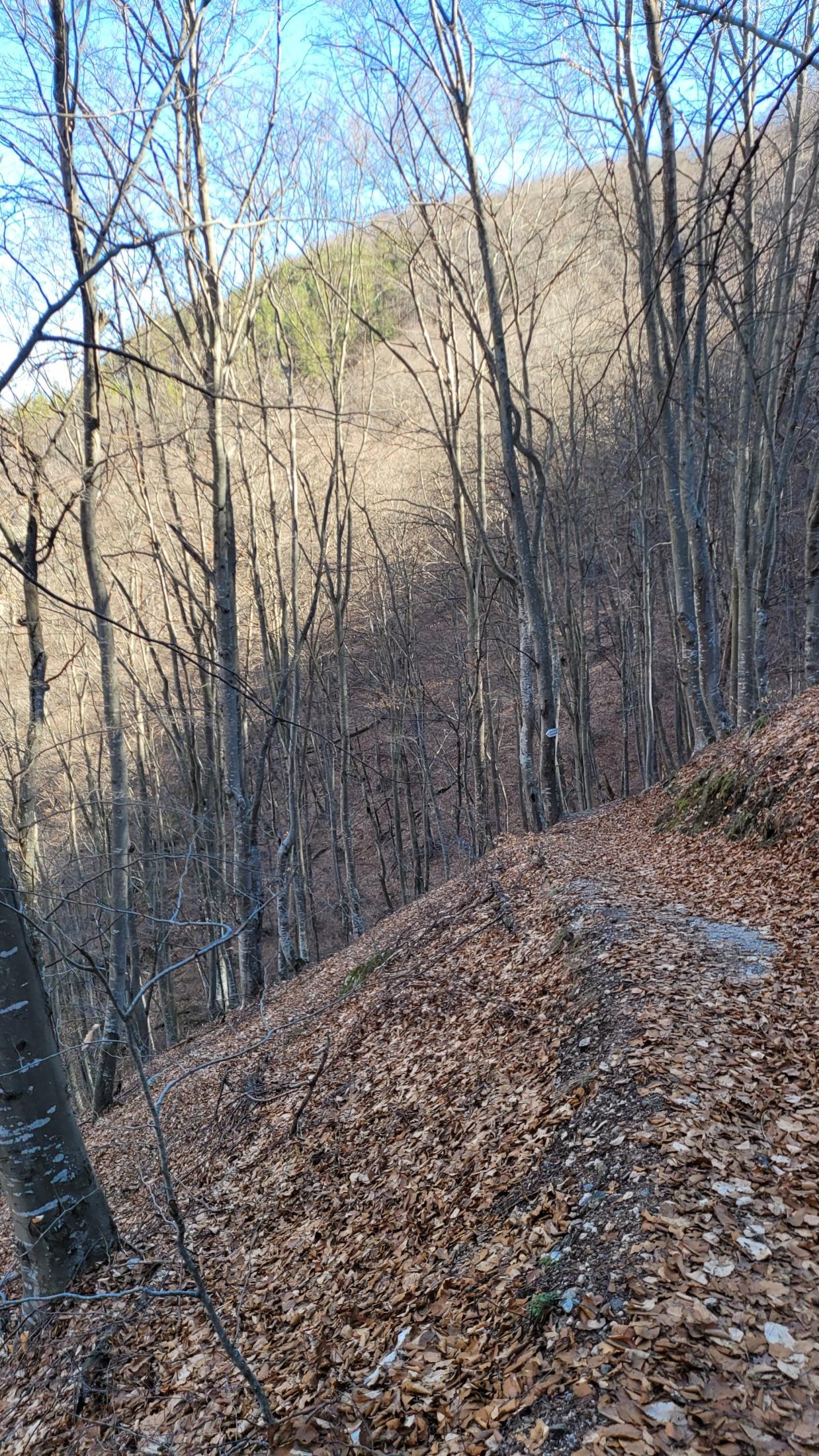 Fotinovo Waterfalls, Bulgaria: A Two-Day Rhodope Trip to a 30-Metre Cascade