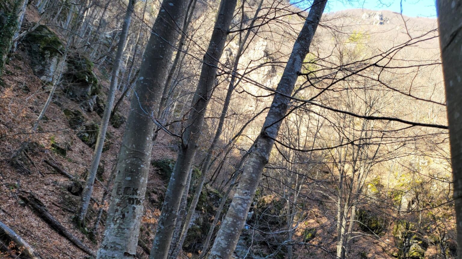 Fotinovo Waterfalls, Bulgaria: A Two-Day Rhodope Trip to a 30-Metre Cascade