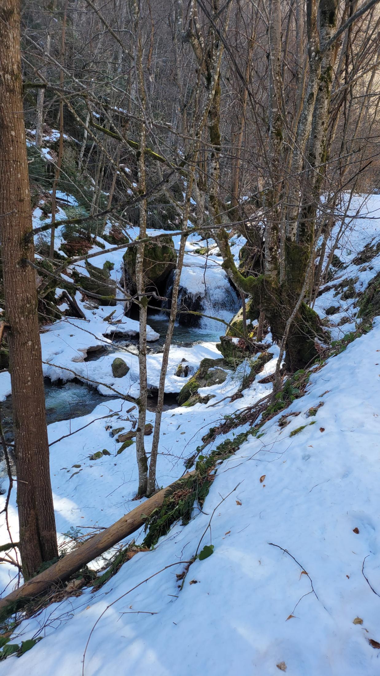 Fotinovo Waterfalls, Bulgaria: A Two-Day Rhodope Trip to a 30-Metre Cascade