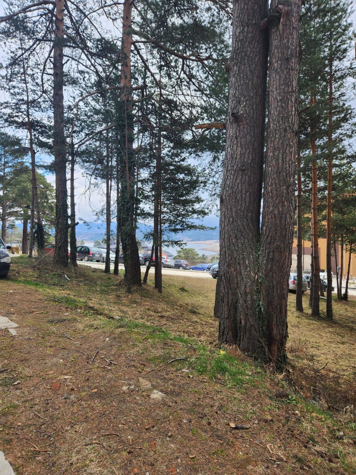 Tsigov Chark resort on the Batak reservoir in the western Rhodopes - photo 1